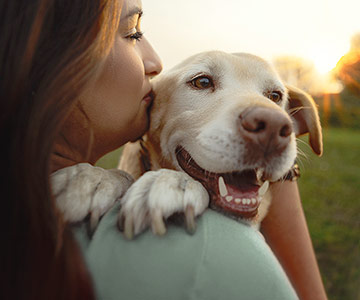 Conseils pour aider votre chien à se désintoxiquer par lui-même