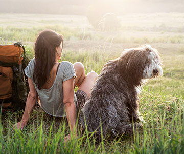 Routenplanung beim Wandern mit Hund