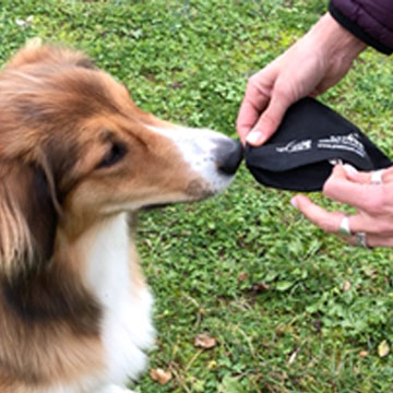 Les croquettes pour chiens ou les récompenses cuites dans le jus de viande selon le procédé « Fleischsaftgarung » rendent le dummy vraiment attrayant