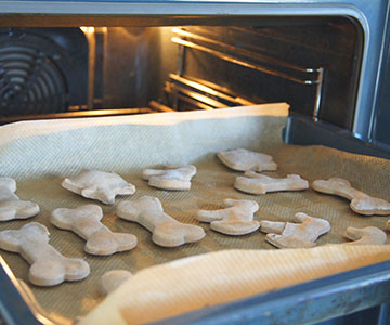 Mettre les biscuits pour chiens au four sur une plaque à pâtisserie