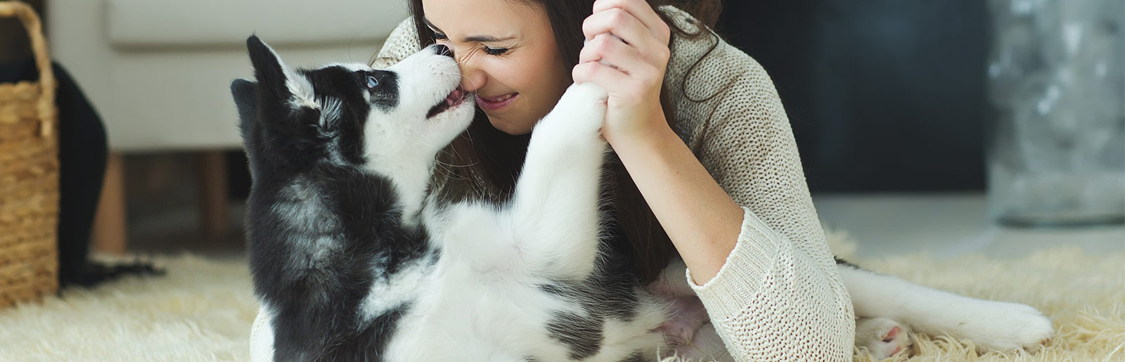 Témoignages d'autres propriétaires de chiens sur les aliments pour chiens PLATINUM