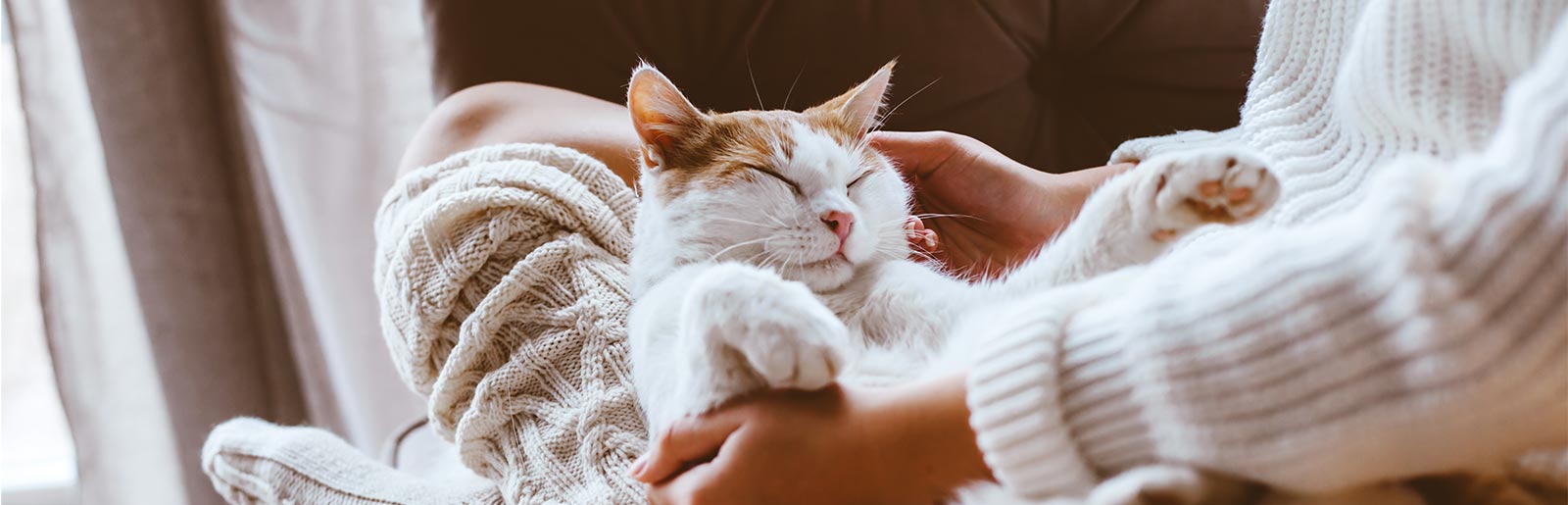 Erfahrungsberichte zu PLATINUM Katzenfutter von anderen Katzenhaltern