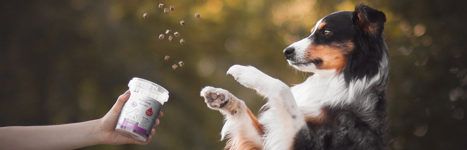 Friandises pour chiens à base de viande fraîche