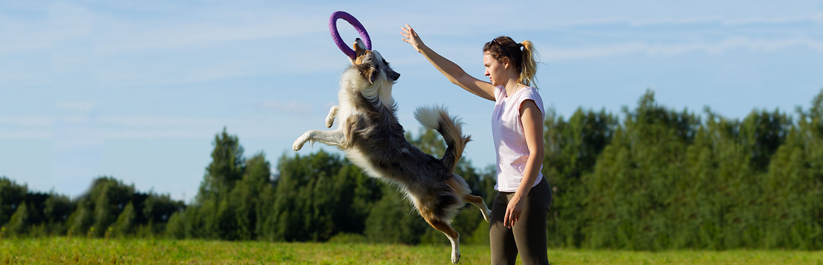 Den Hund drinnen uns draußen spielerisch gut beschäftigen