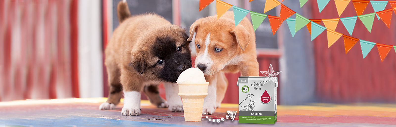 Rezepte für Hunde-Eis aus Hundenassfutter