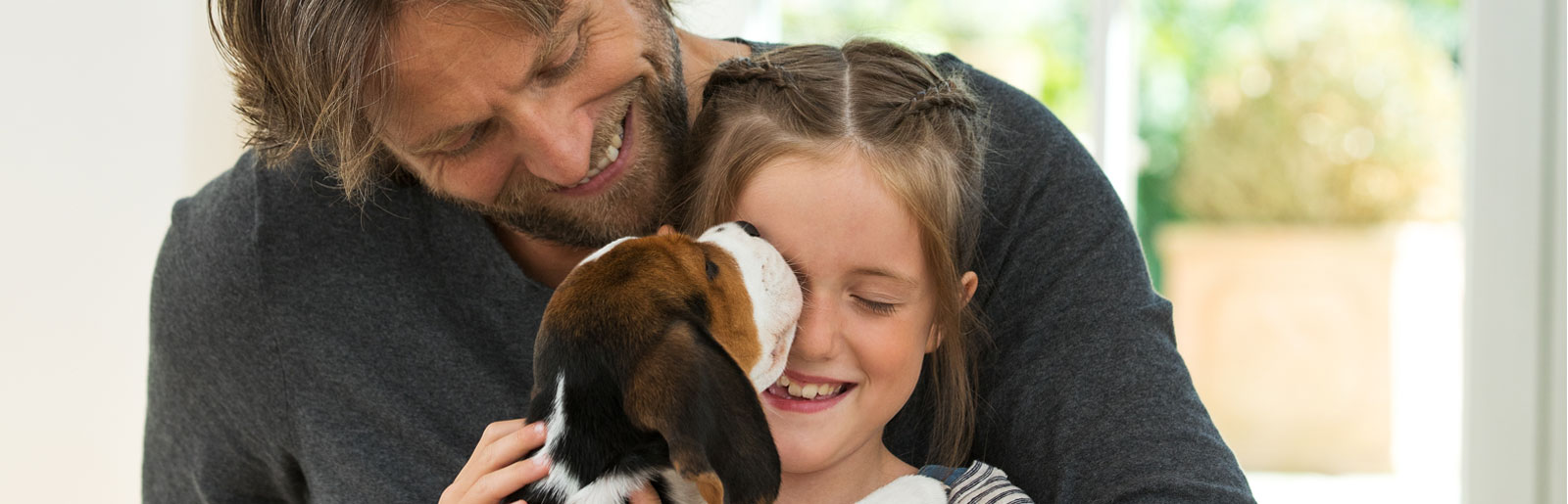 The puppy learns behaviours such as house-training, walking on a lead and first commands