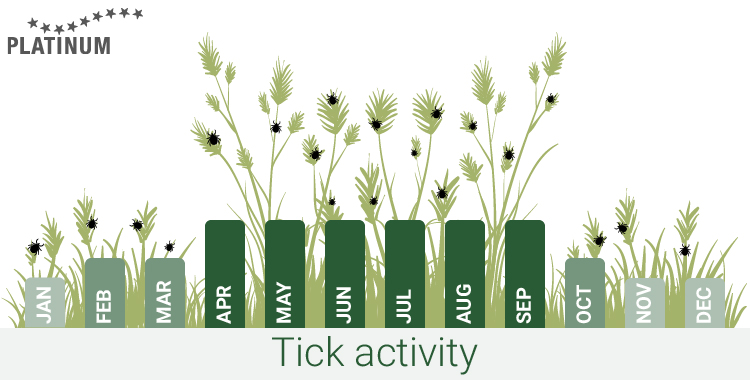 When is tick season?