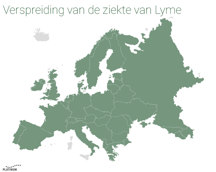 De ziekte van Lyme wordt in Europa ook overgedragen op honden door de teek