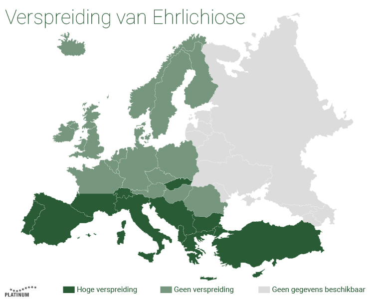 Ehrlichiose is een ziekte die door teken op de hond kan worden overgedragen.