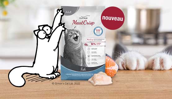 Aliments secs pour chats au goût de poisson