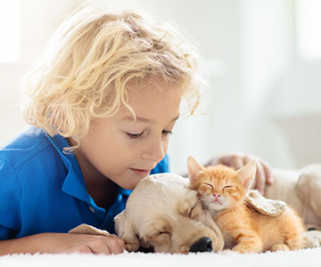 Le chiot doit également s'habituer aux autres membres de la meute, comme les enfants ou d'autres animaux domestiques.